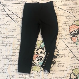 Loft Ponte Moto Style Pants with Zippered Ankles